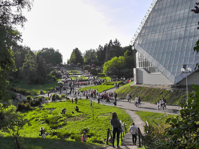 Альбом отзыва "Киев, Ботанический сад. Весна-лето, осень-зима, а в середине Вечность! Весна."