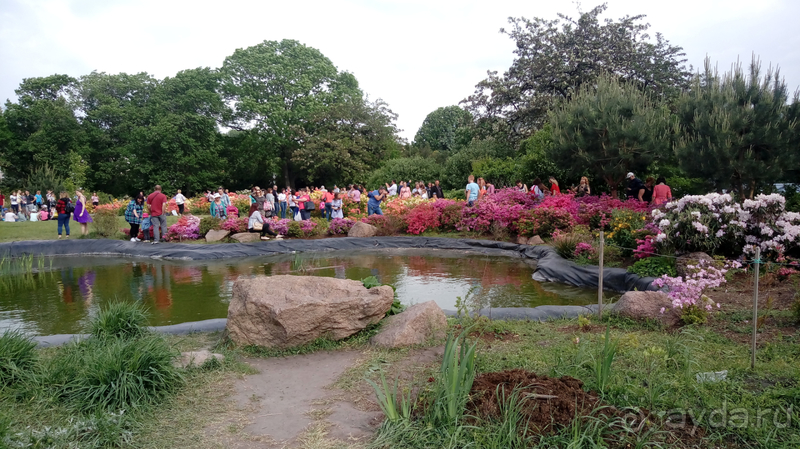 Альбом отзыва "Киев, Ботанический сад. Весна-лето, осень-зима, а в середине Вечность! Весна."