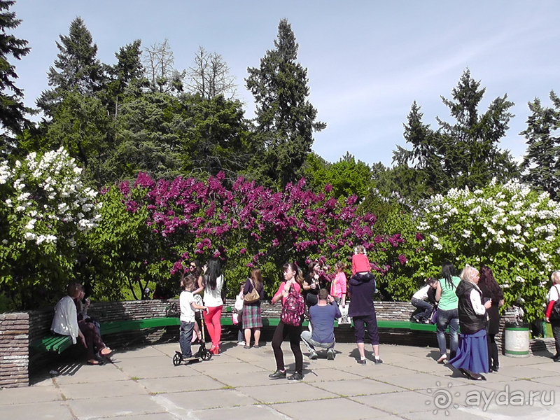 Альбом отзыва "Киев, Ботанический сад. Весна-лето, осень-зима, а в середине Вечность! Весна."