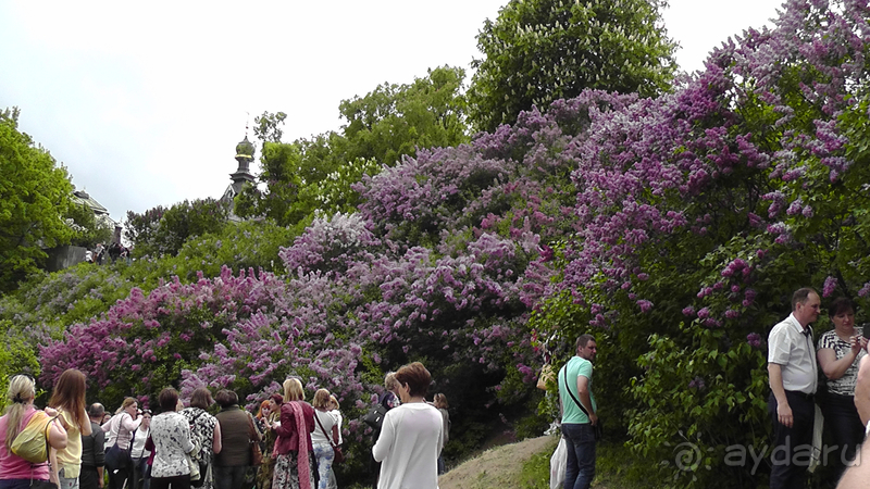 Альбом отзыва "Киев, Ботанический сад. Весна-лето, осень-зима, а в середине Вечность! Весна."