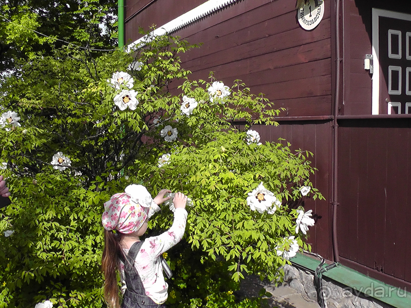 Альбом отзыва "Киев, Ботанический сад. Весна-лето, осень-зима, а в середине Вечность! Весна."