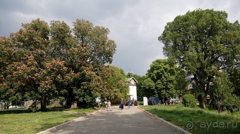 Альбом отзыва "Киев, Ботанический сад. Весна-лето, осень-зима, а в середине Вечность! Весна."