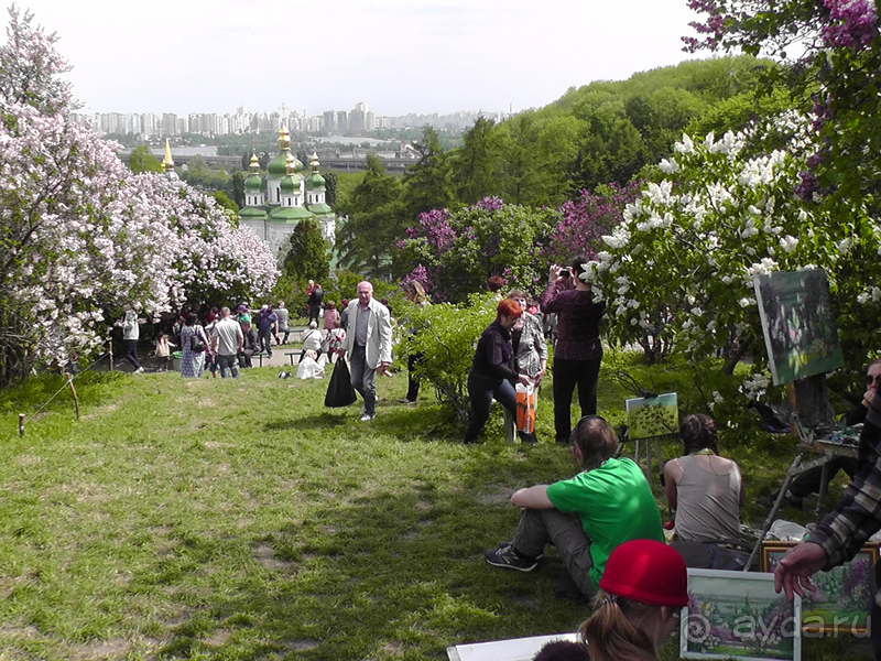 Альбом отзыва "Киев, Ботанический сад. Весна-лето, осень-зима, а в середине Вечность! Весна."