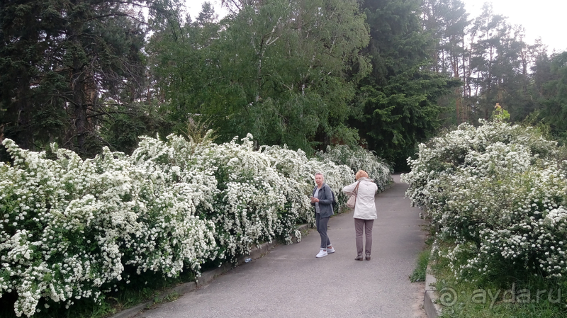 Альбом отзыва "Киев, Ботанический сад. Весна-лето, осень-зима, а в середине Вечность! Весна."