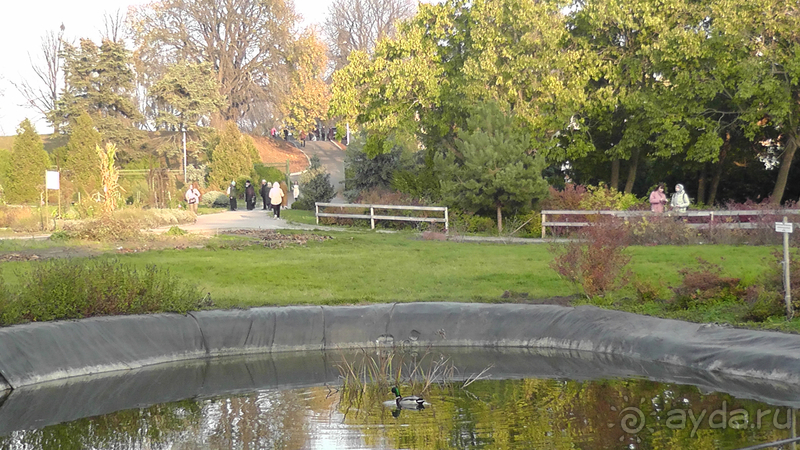 Альбом отзыва "Киев, Ботанический сад. Весна-лето, осень-зима, а в середине Вечность! Осень."