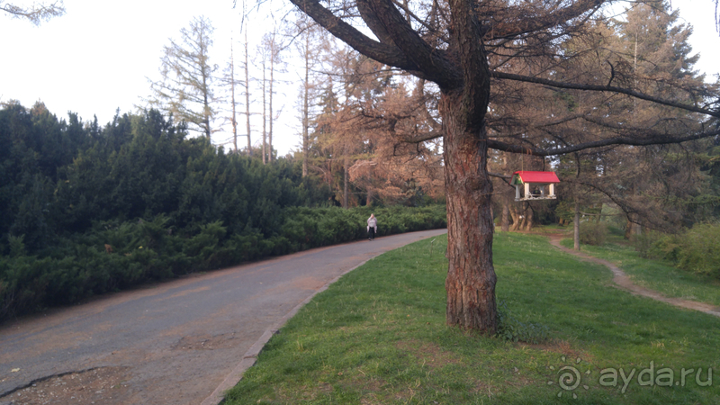 Альбом отзыва "Киев, Ботанический сад. Весна-лето, осень-зима, а в середине Вечность! Осень."