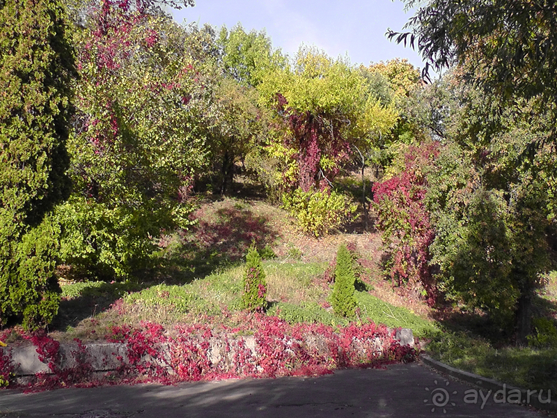 Альбом отзыва "Киев, Ботанический сад. Весна-лето, осень-зима, а в середине Вечность! Осень."