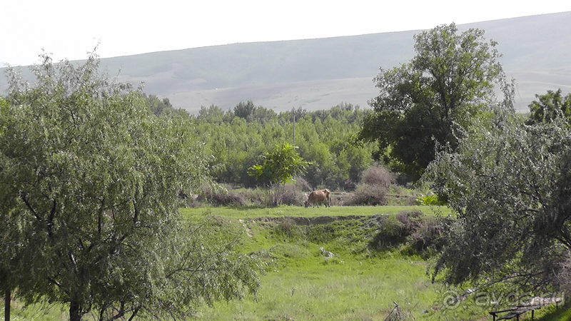 Грузия. Попала в Грузию в карантин и я попала… Город Гори, музей Сталина, пещеры Уплисцихе.