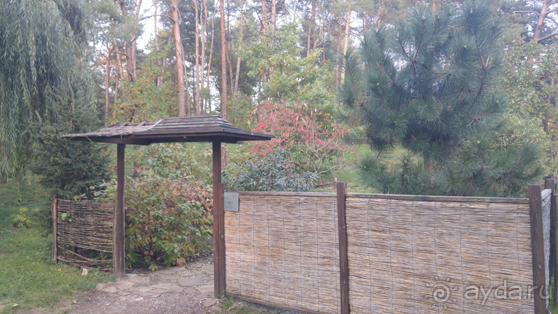 Альбом отзыва "Киев, Ботанический сад. Весна-лето, осень-зима, а в середине Вечность! Осень."