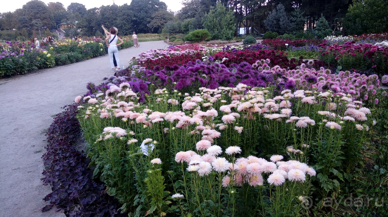 Альбом отзыва "Киев, Ботанический сад. Весна-лето, осень-зима, а в середине Вечность! Осень."