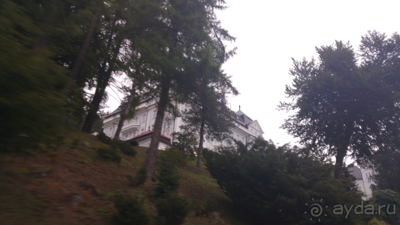 фото Pineta Park Deluxe Hotel