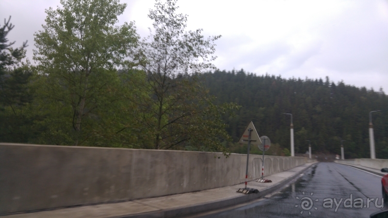 фото Pineta Park Deluxe Hotel