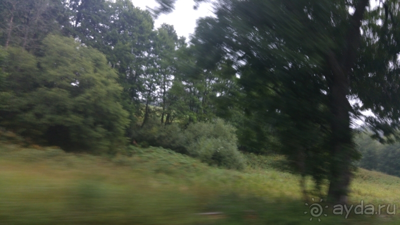 фото Pineta Park Deluxe Hotel