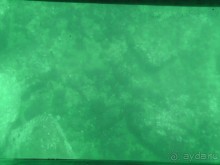 Тосса де Мар, Жирона, Фигерос - звезды в созвездии Коста-Бравы!