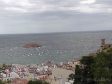 Тосса де Мар, Жирона, Фигерос - звезды в созвездии Коста-Бравы!