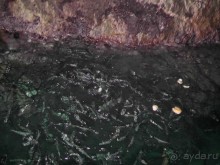 Тосса де Мар, Жирона, Фигерос - звезды в созвездии Коста-Бравы!