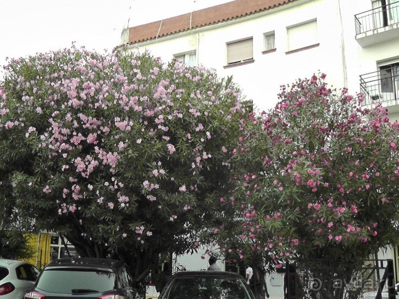 Тосса де Мар, Жирона, Фигерос - звезды в созвездии Коста-Бравы!