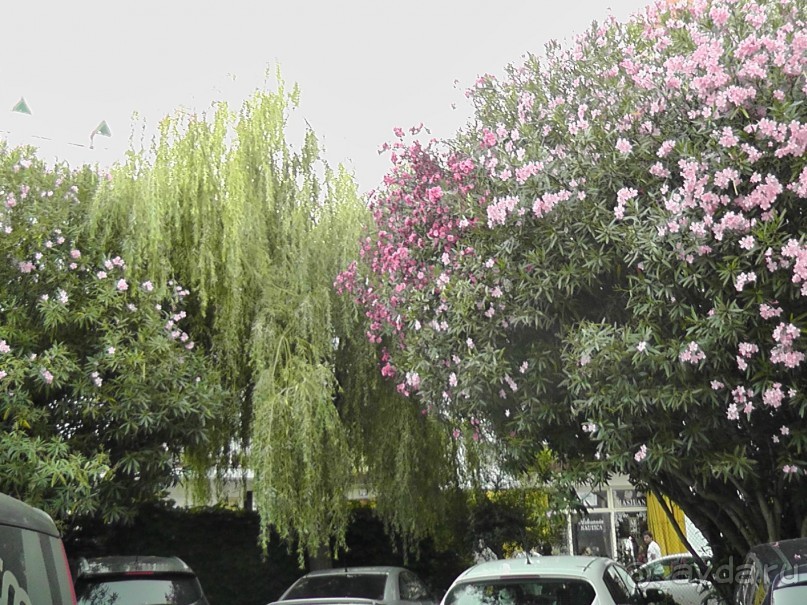 Тосса де Мар, Жирона, Фигерос - звезды в созвездии Коста-Бравы!