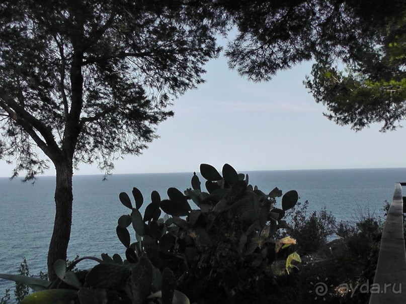 Тосса де Мар, Жирона, Фигерос - звезды в созвездии Коста-Бравы!