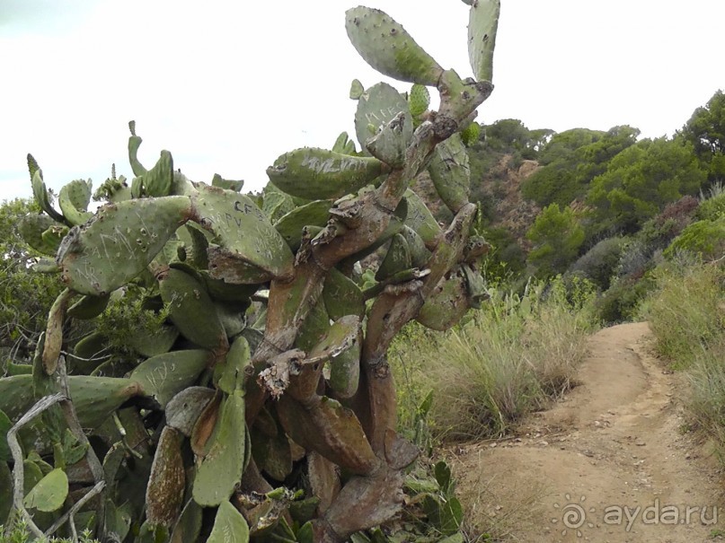 Тосса де Мар, Жирона, Фигерос - звезды в созвездии Коста-Бравы!