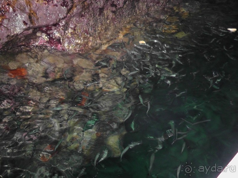 Тосса де Мар, Жирона, Фигерос - звезды в созвездии Коста-Бравы!