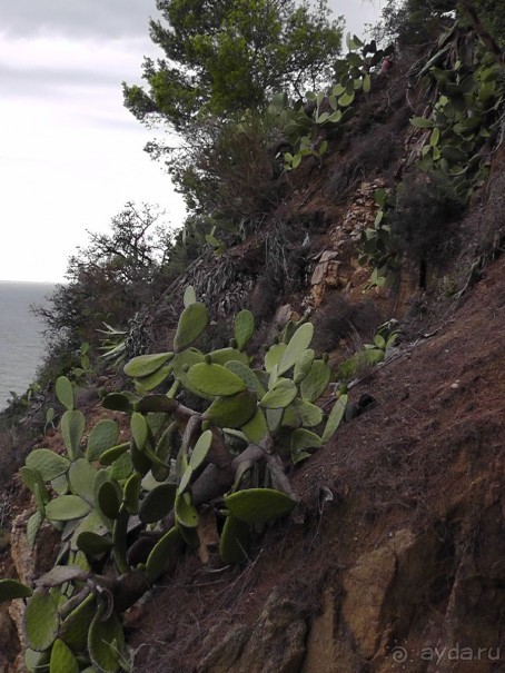 Тосса де Мар, Жирона, Фигерос - звезды в созвездии Коста-Бравы!