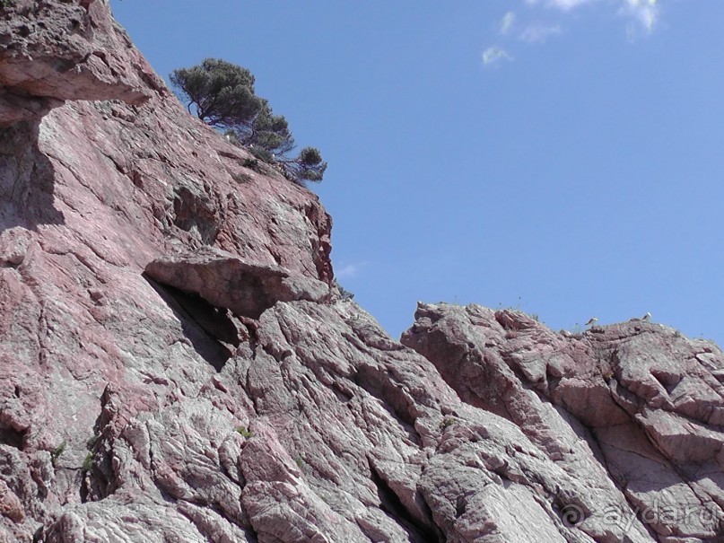 Тосса де Мар, Жирона, Фигерос - звезды в созвездии Коста-Бравы!