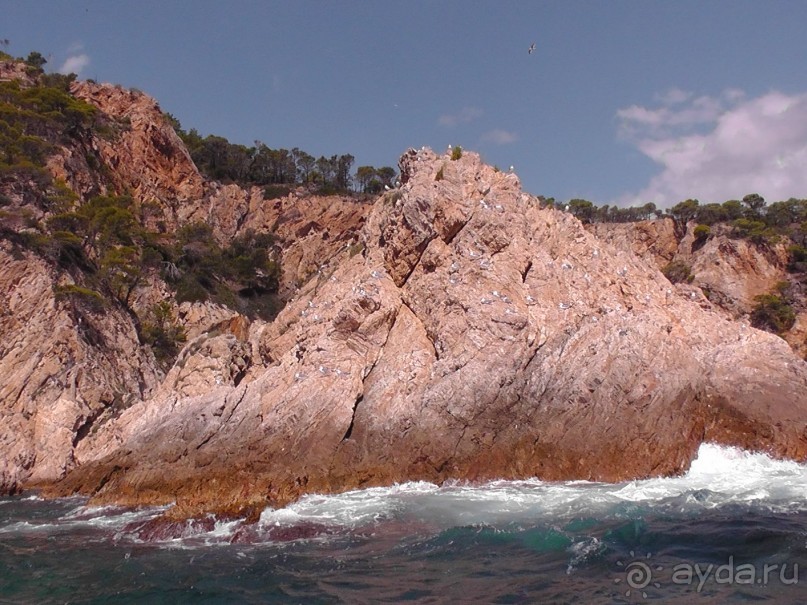 Тосса де Мар, Жирона, Фигерос - звезды в созвездии Коста-Бравы!