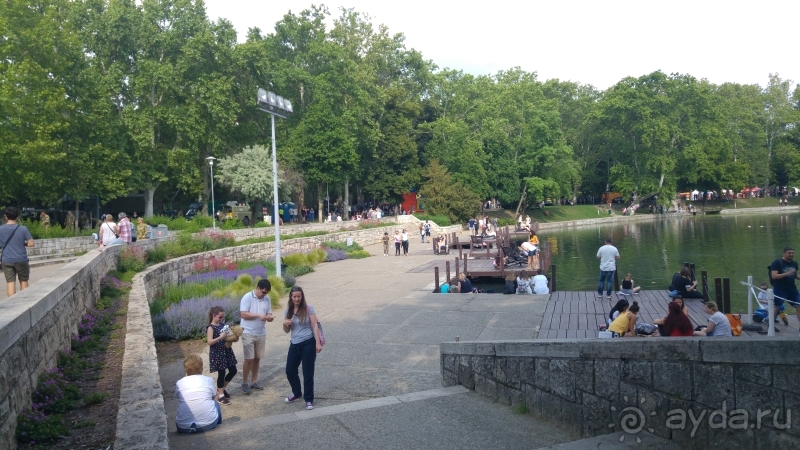 фото Hedef Rose Garden Hotel