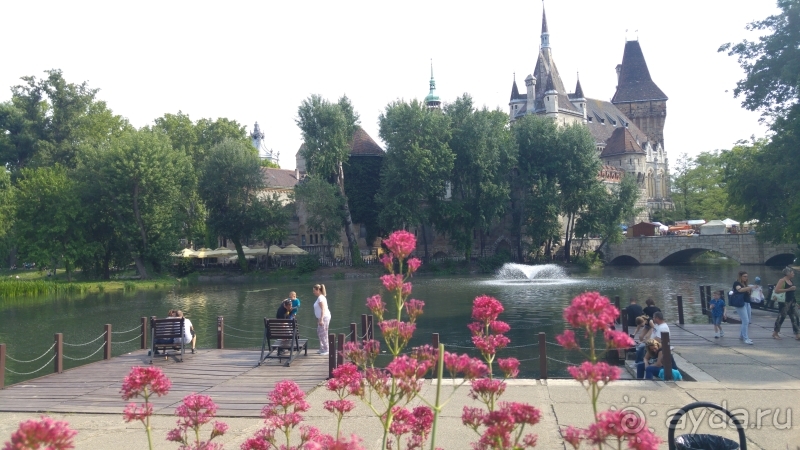 фото Hedef Rose Garden Hotel