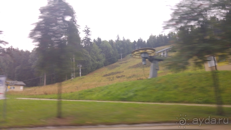 фото Pineta Park Deluxe Hotel