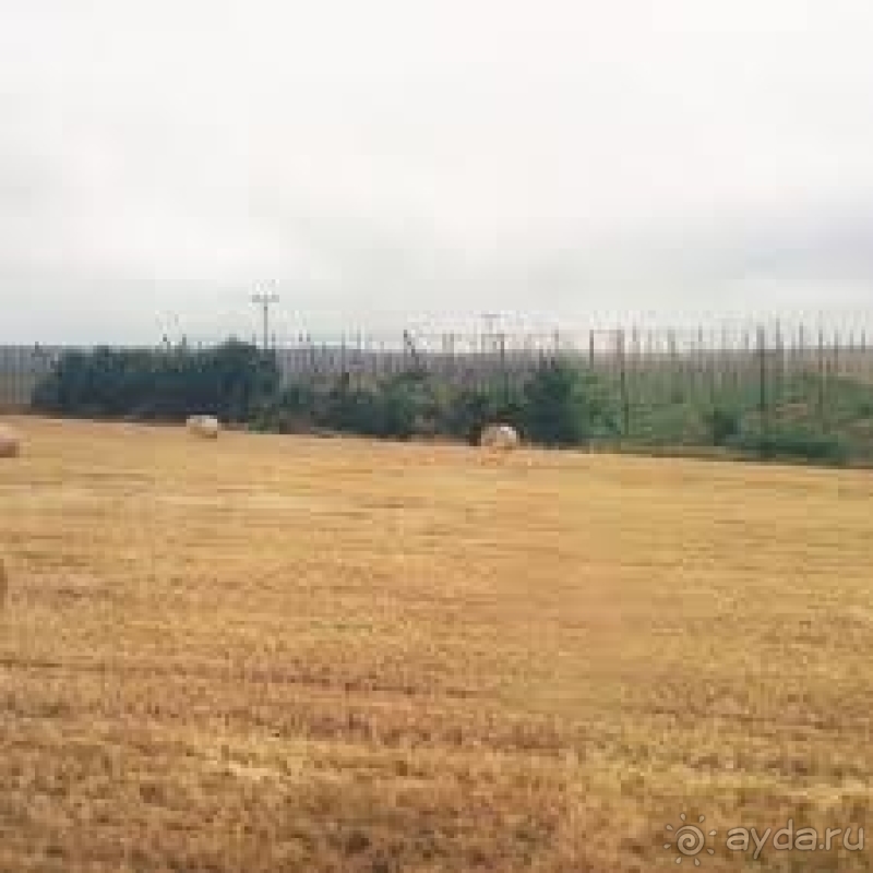 фото Pineta Park Deluxe Hotel