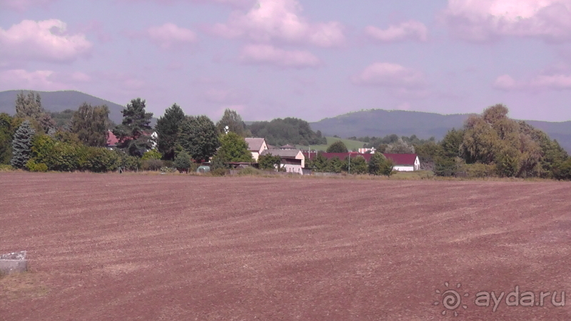 фото Pineta Park Deluxe Hotel