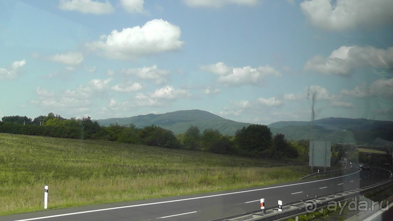 фото Pineta Park Deluxe Hotel