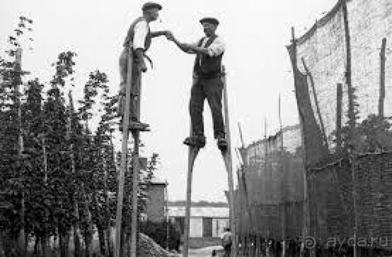 фото Pineta Park Deluxe Hotel