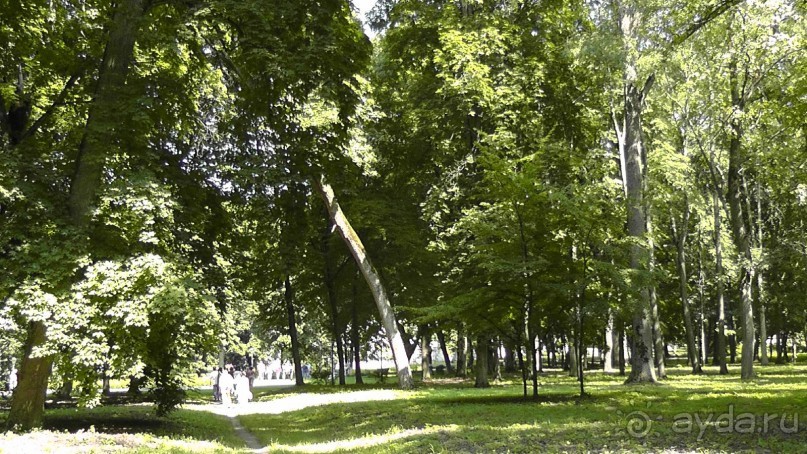 Альбом отзыва "Качановка, музей-усадьба  - эхо давних времен, людей и событий"