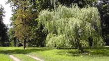 Альбом отзыва "Качановка, музей-усадьба  - эхо давних времен, людей и событий"
