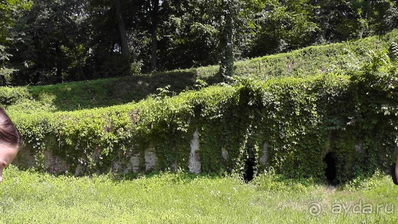 Альбом отзыва "Качановка, музей-усадьба  - эхо давних времен, людей и событий"