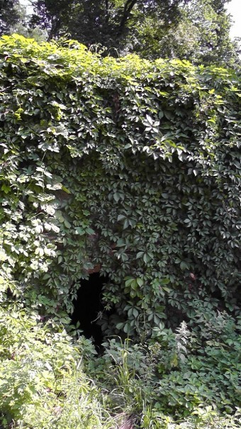 Альбом отзыва "Качановка, музей-усадьба  - эхо давних времен, людей и событий"