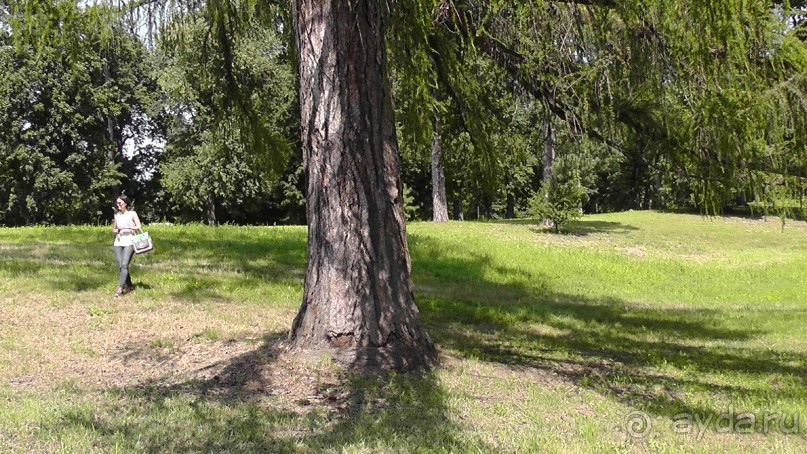 Альбом отзыва "Качановка, музей-усадьба  - эхо давних времен, людей и событий"