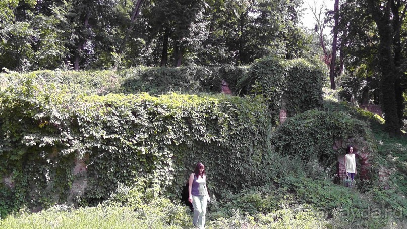 Альбом отзыва "Качановка, музей-усадьба  - эхо давних времен, людей и событий"