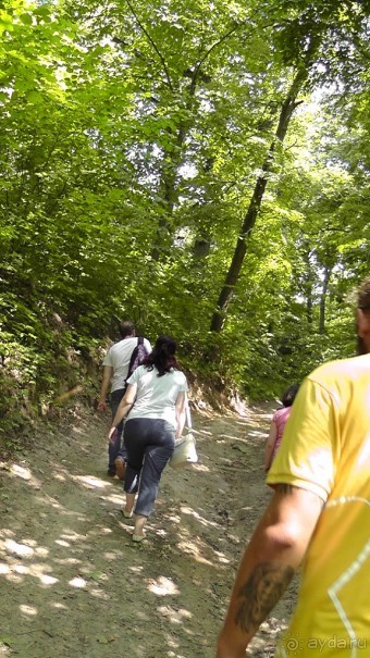 Качановка, музей-усадьба  - эхо давних времен, людей и событий