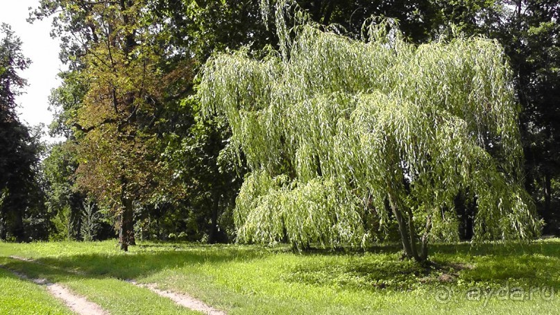Альбом отзыва "Качановка, музей-усадьба  - эхо давних времен, людей и событий"