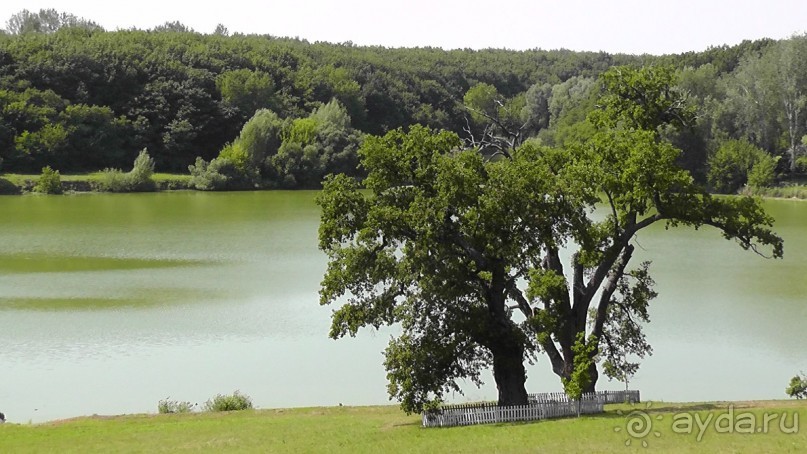 Альбом отзыва "Качановка, музей-усадьба  - эхо давних времен, людей и событий"