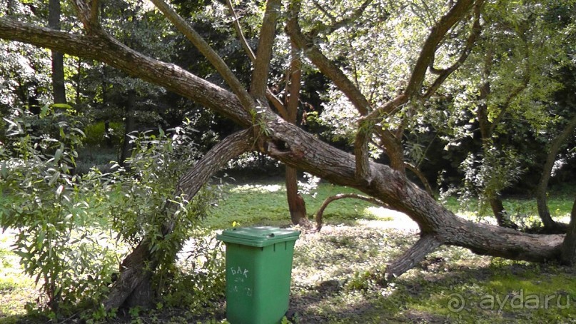 Альбом отзыва "Качановка, музей-усадьба  - эхо давних времен, людей и событий"