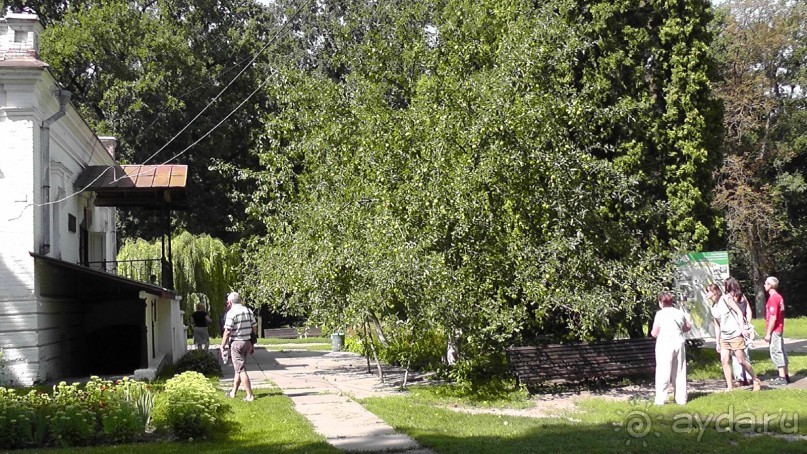 Альбом отзыва "Качановка, музей-усадьба  - эхо давних времен, людей и событий"