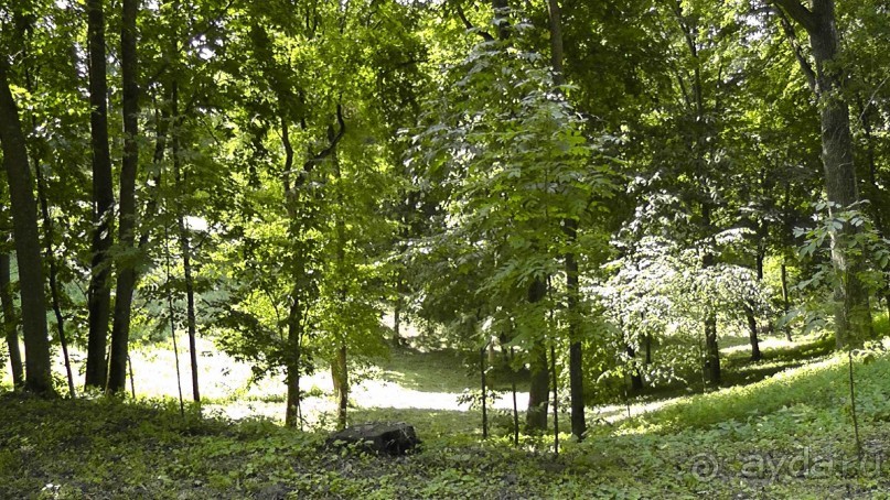 Альбом отзыва "Качановка, музей-усадьба  - эхо давних времен, людей и событий"