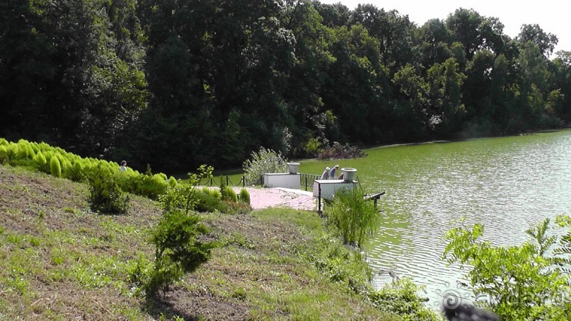 Альбом отзыва "Качановка, музей-усадьба  - эхо давних времен, людей и событий"