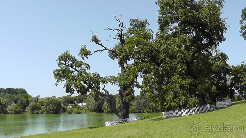 Альбом отзыва "Качановка, музей-усадьба  - эхо давних времен, людей и событий"