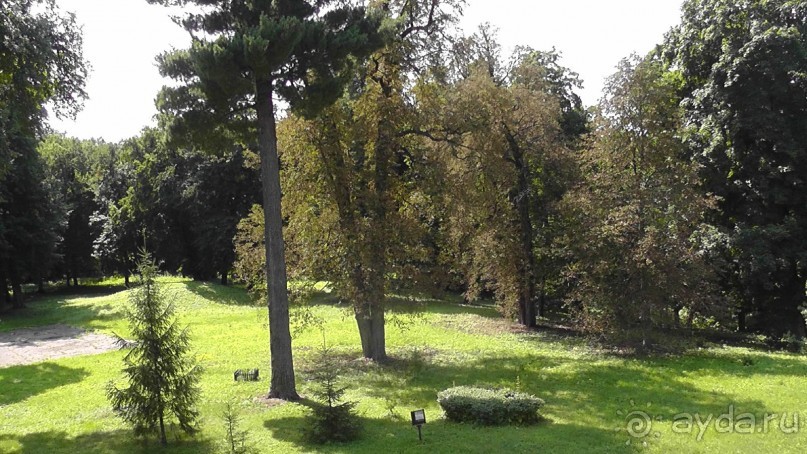 Альбом отзыва "Качановка, музей-усадьба  - эхо давних времен, людей и событий"